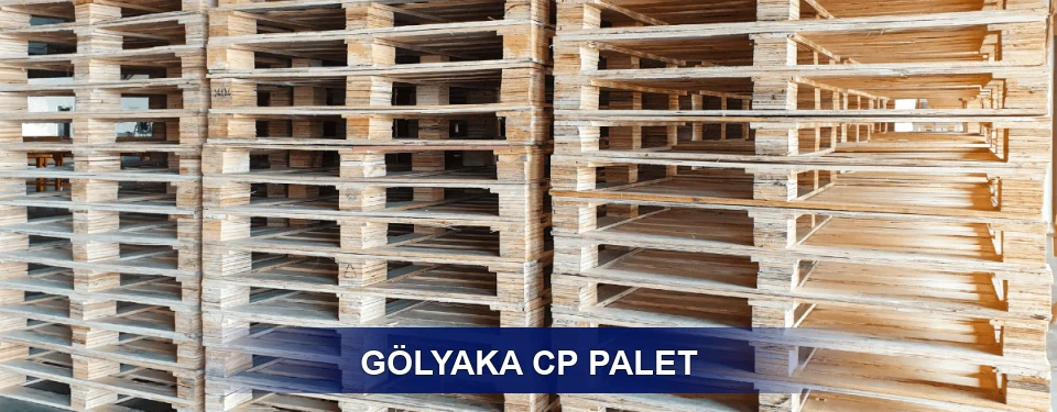 Gölyaka Standart Tipler