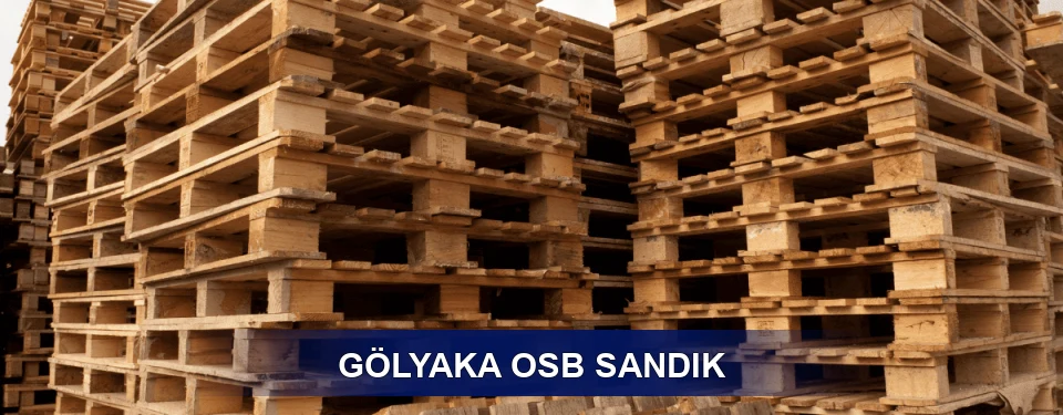 Gölyaka Ölçü Planı